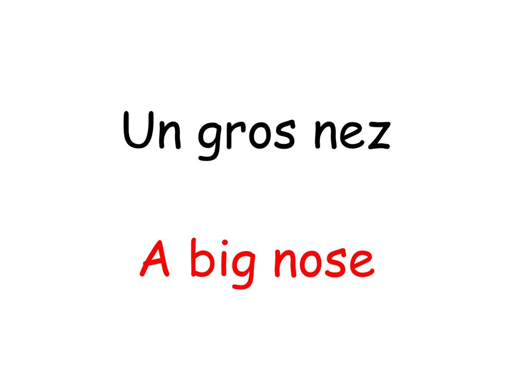 Un gros nez A big nose