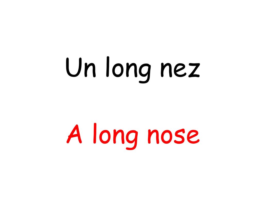 Un long nez A long nose