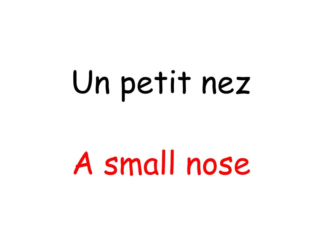 Un petit nez A small nose