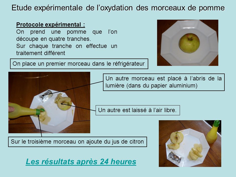 Etude expérimentale de l’oxydation des morceaux de pomme