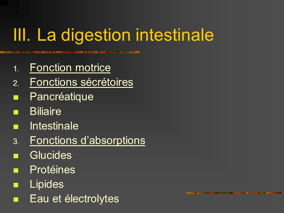 III. La digestion intestinale