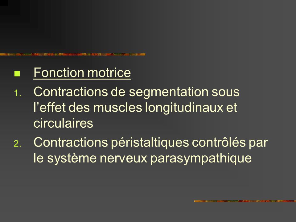 Fonction motrice Contractions de segmentation sous l’effet des muscles longitudinaux et circulaires.