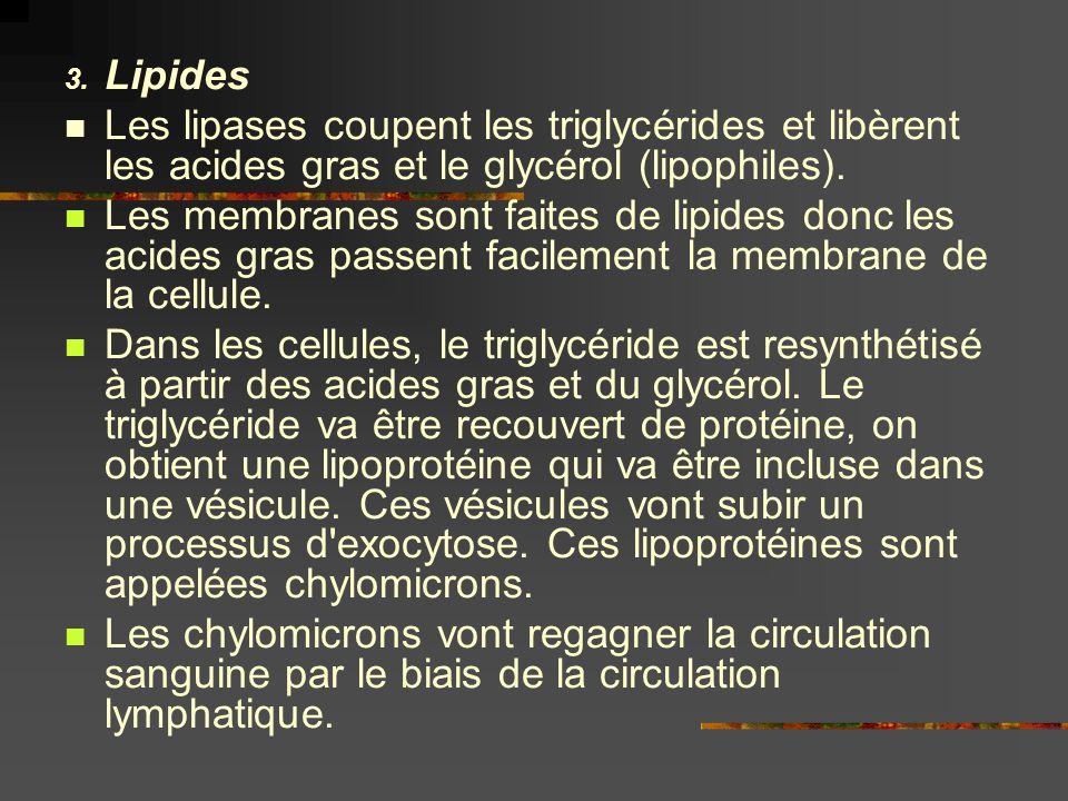 Lipides Les lipases coupent les triglycérides et libèrent les acides gras et le glycérol (lipophiles).