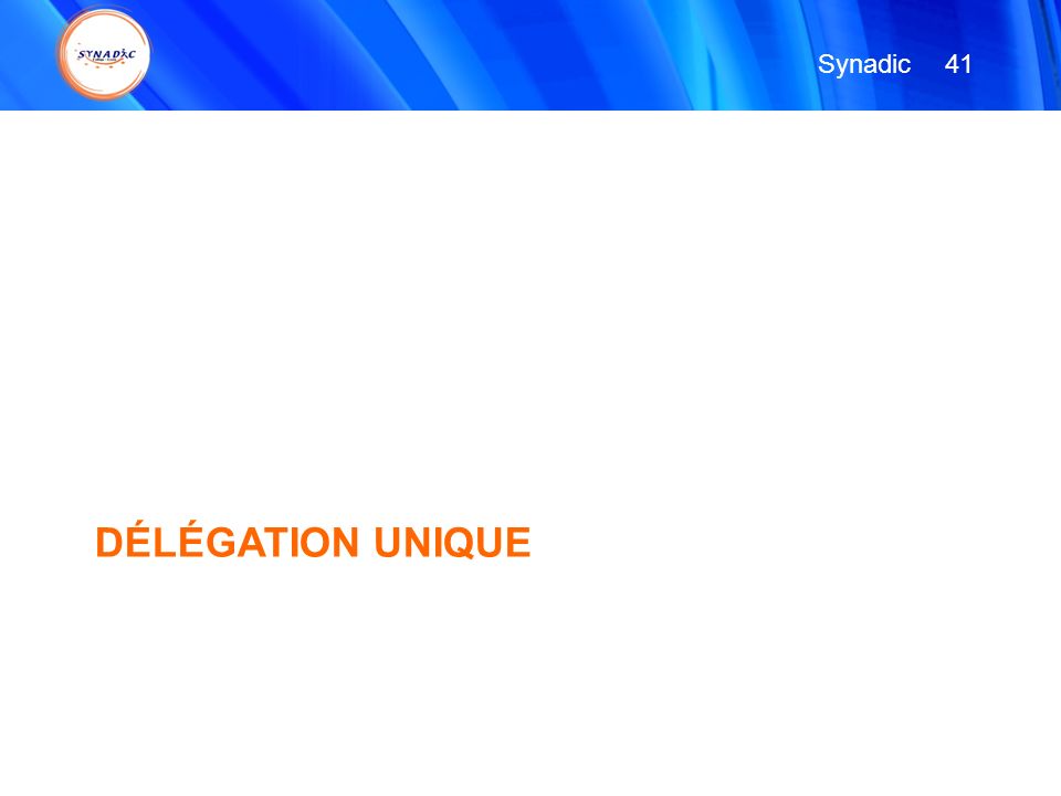 Synadic 41 DÉLÉGATION UNIQUE