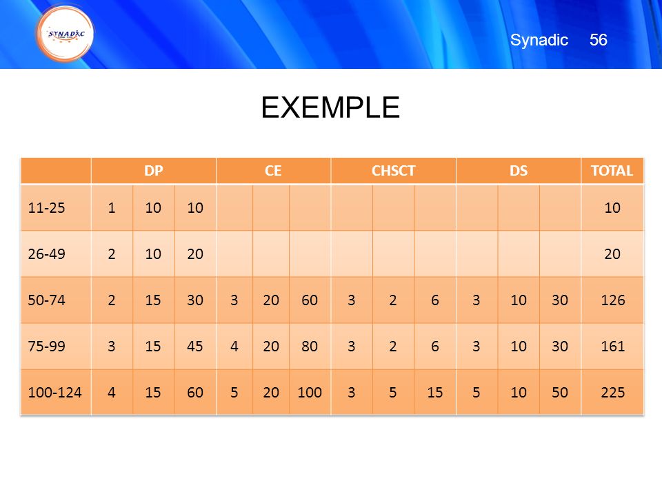 EXEMPLE Synadic 56 DP CE CHSCT DS TOTAL
