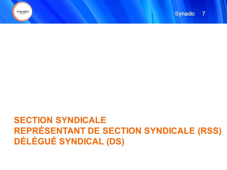 Synadic 7 SECTION SYNDICALE REPRÉSENTANT DE SECTION SYNDICALE (RSS) DÉLÉGUÉ SYNDICAL (DS)