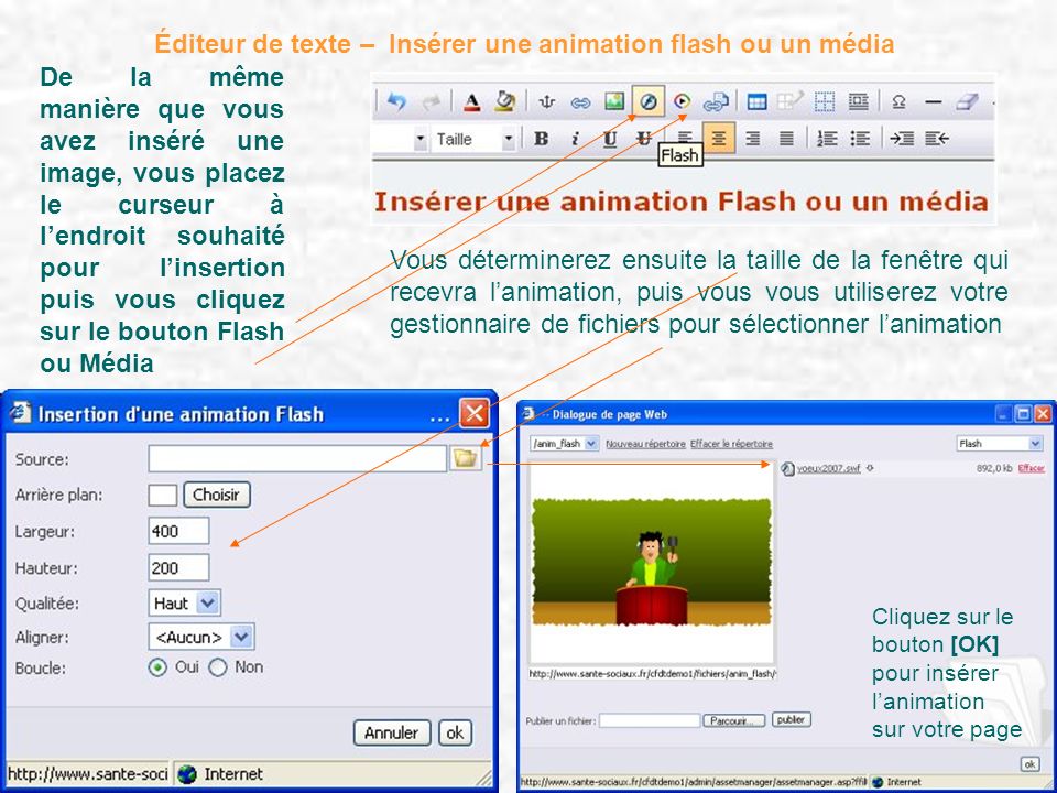Éditeur de texte – Insérer une animation flash ou un média