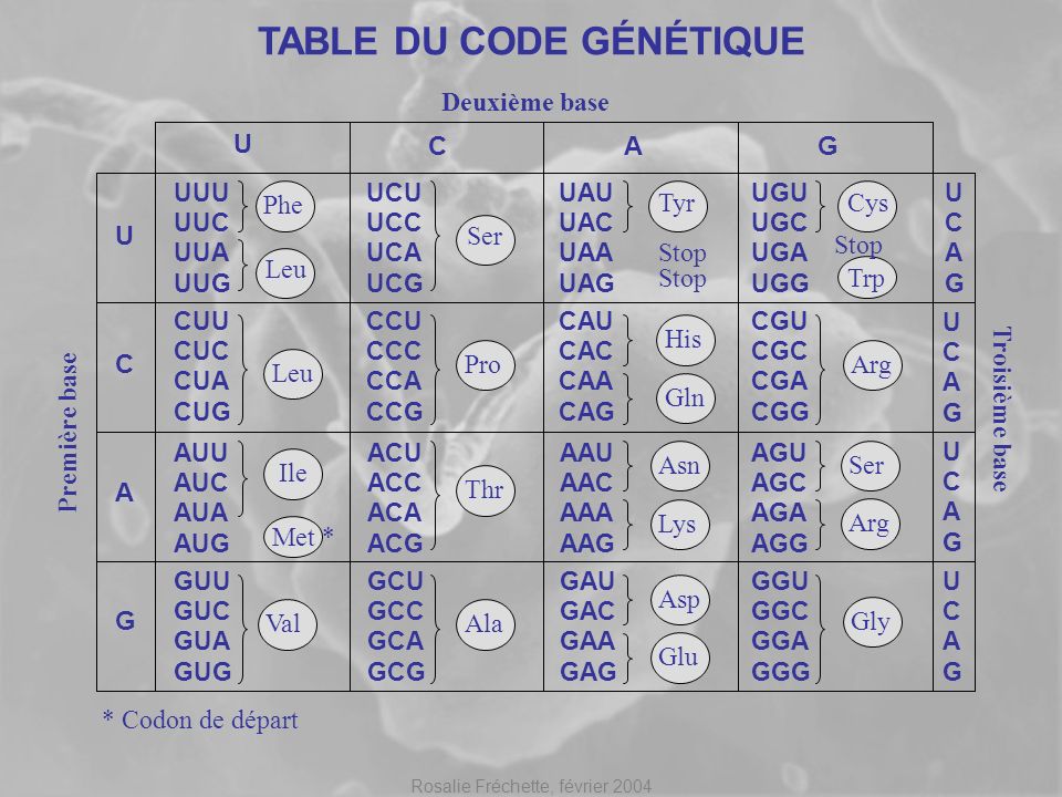 TABLE DU CODE GÉNÉTIQUE