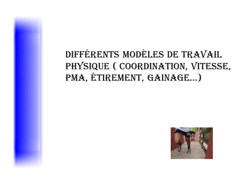 Différents modèles de travail physique ( coordination, vitesse, PMA, étirement, gainage…)