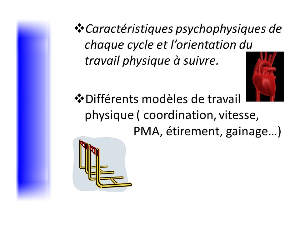 Caractéristiques psychophysiques de chaque cycle et l’orientation du travail physique à suivre.