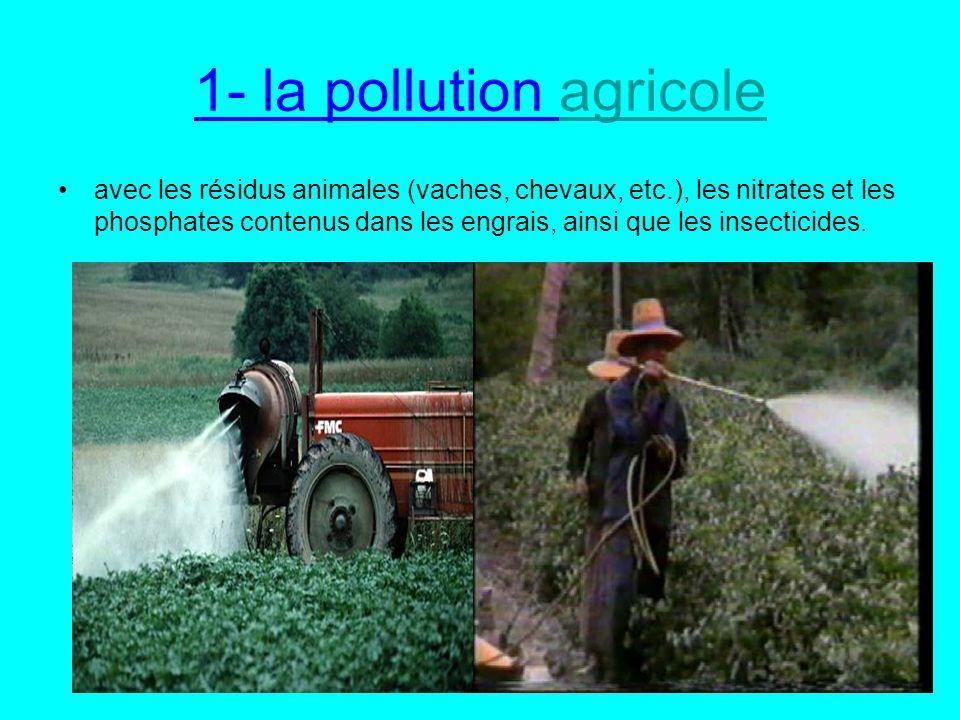 1- la pollution agricole