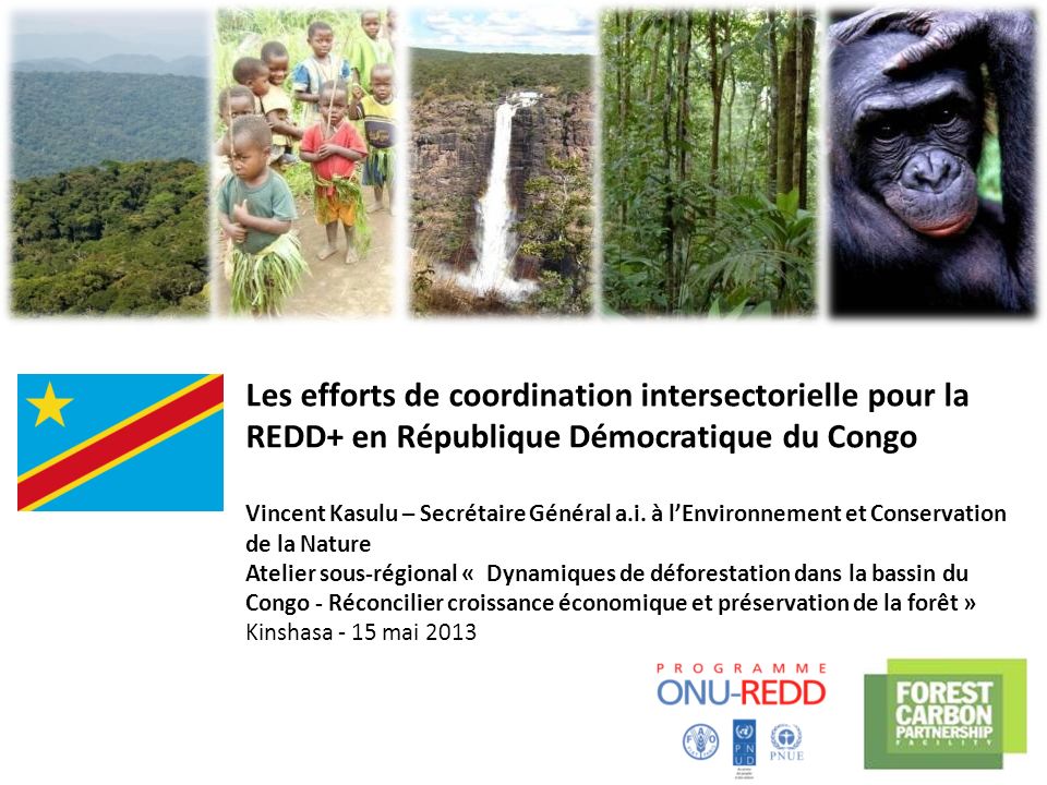 Les efforts de coordination intersectorielle pour la REDD+ en République Démocratique du Congo Vincent Kasulu – Secrétaire Général a.i. à l’Environnement et Conservation de la Nature Atelier sous-régional « Dynamiques de déforestation dans la bassin du Congo - Réconcilier croissance économique et préservation de la forêt » Kinshasa - 15 mai 2013
