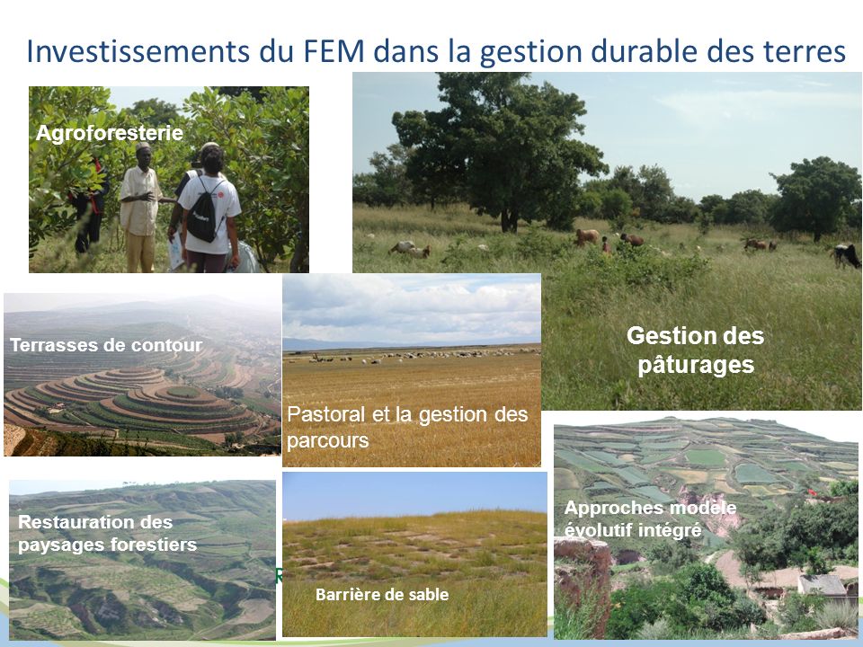 Investissements du FEM dans la gestion durable des terres