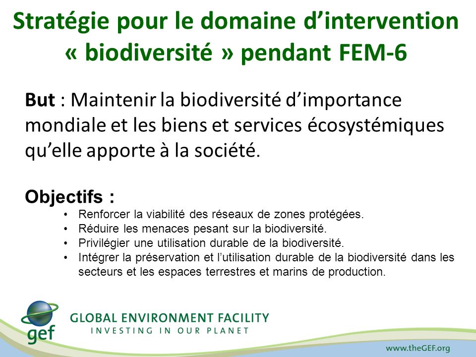 Stratégie pour le domaine d’intervention « biodiversité » pendant FEM-6