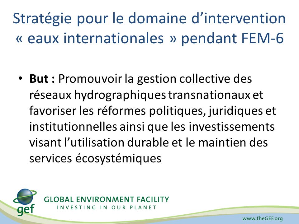 Stratégie pour le domaine d’intervention « eaux internationales » pendant FEM-6