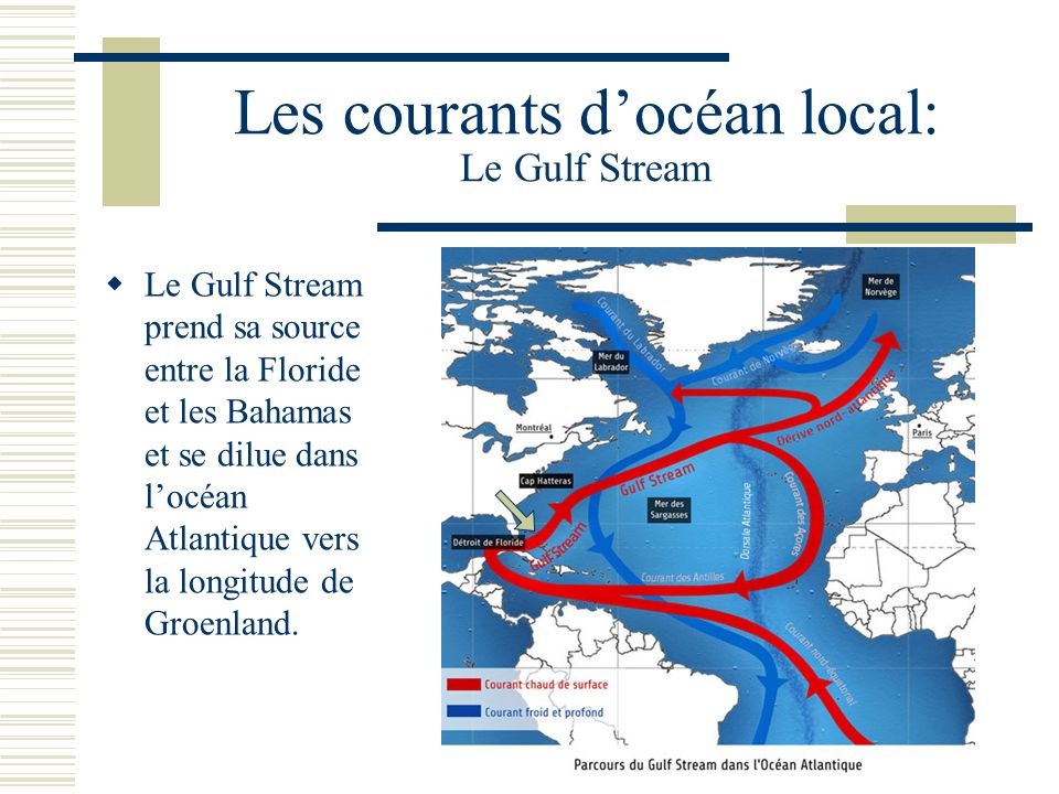 Les courants d’océan local: Le Gulf Stream