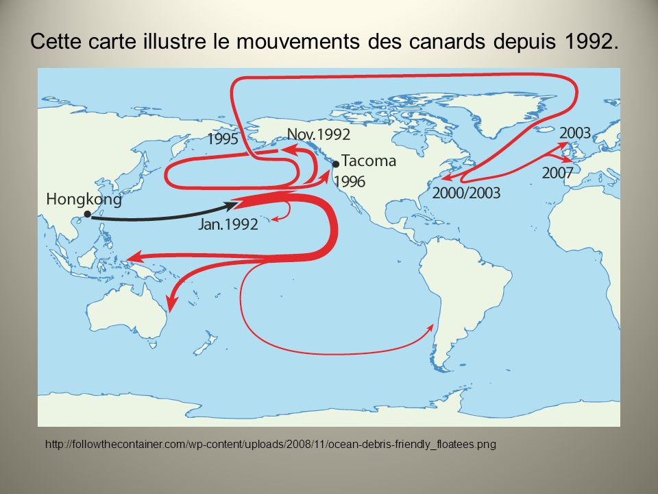 Cette carte illustre le mouvements des canards depuis 1992.