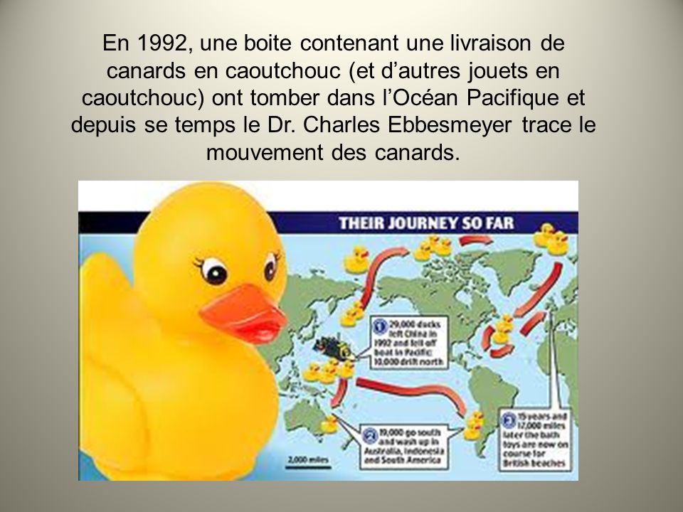 En 1992, une boite contenant une livraison de canards en caoutchouc (et d’autres jouets en caoutchouc) ont tomber dans l’Océan Pacifique et depuis se temps le Dr.
