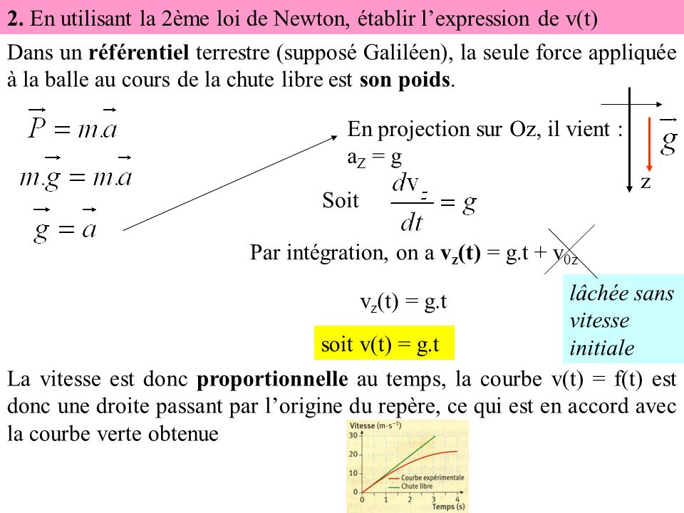 2. En utilisant la 2ème loi de Newton, établir l’expression de v(t)