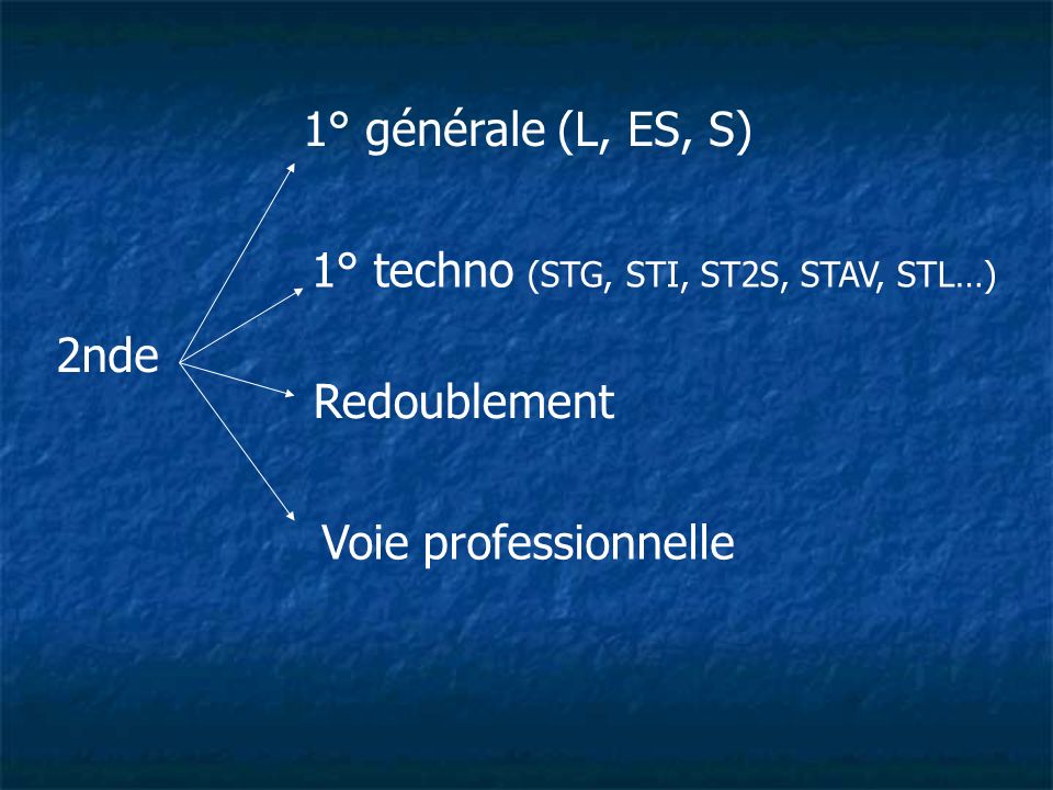 1° générale (L, ES, S) 1° techno (STG, STI, ST2S, STAV, STL…) 2nde.
