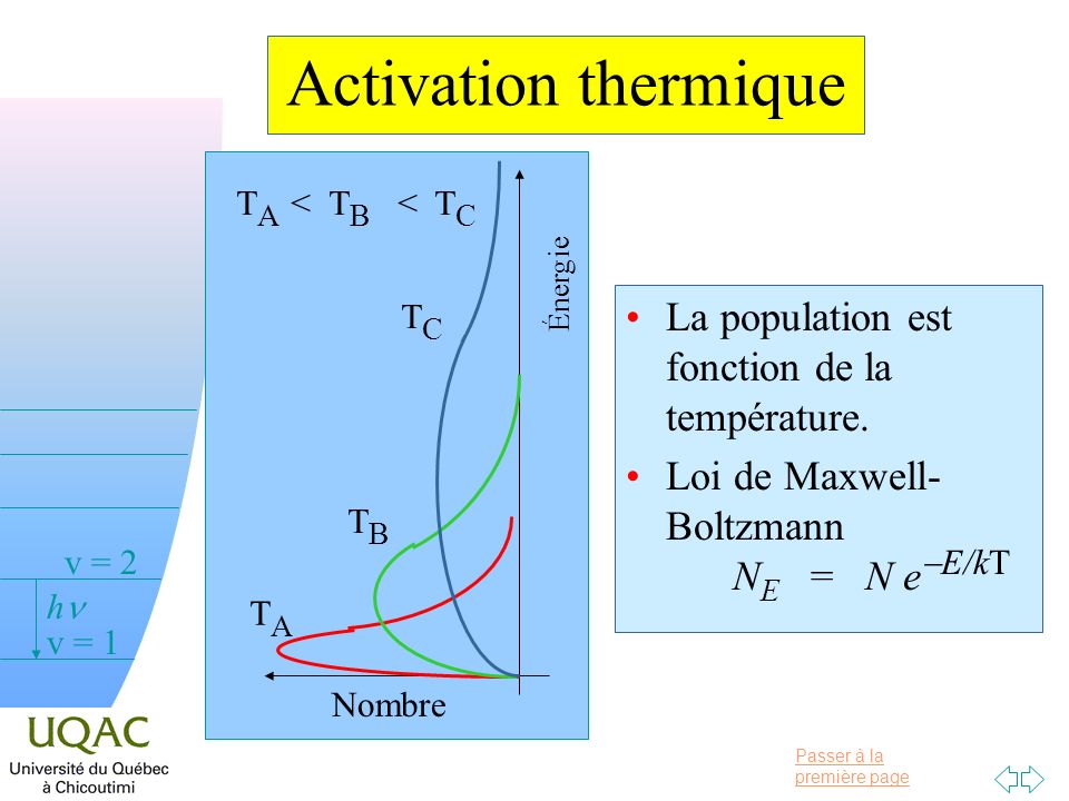 Activation thermique La population est fonction de la température.