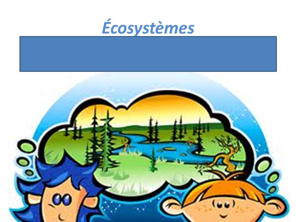 Écosystèmes Arbre, animaux, poissons, rivières, fleurs