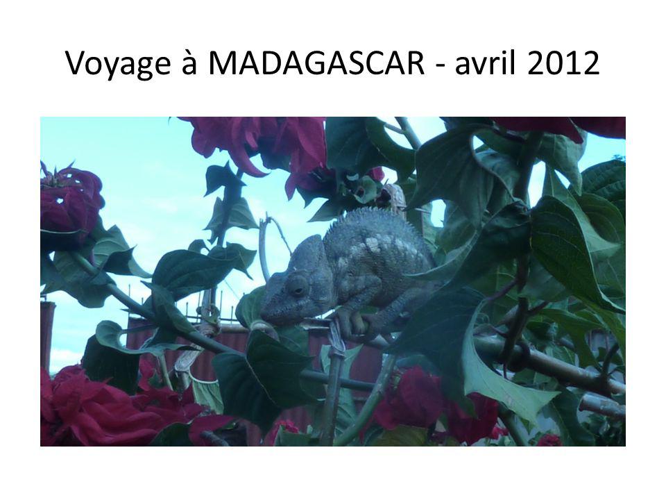 Voyage à MADAGASCAR - avril 2012