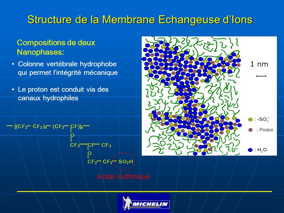Structure de la Membrane Echangeuse d’Ions