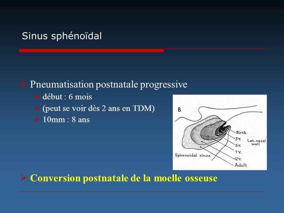 Pneumatisation postnatale progressive
