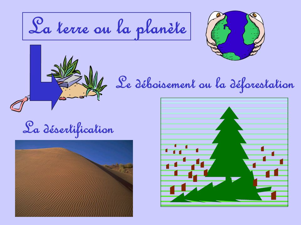 Le déboisement ou la déforestation