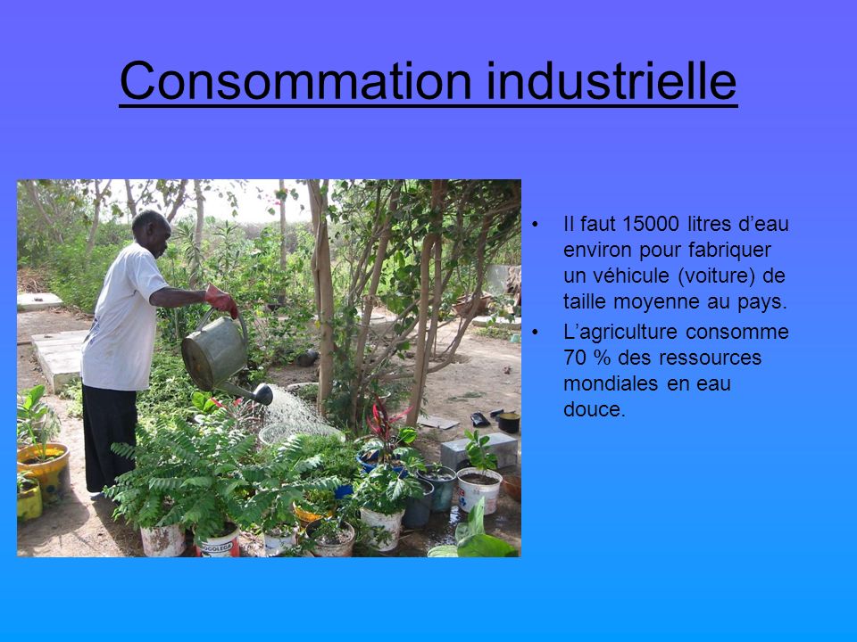 Consommation industrielle
