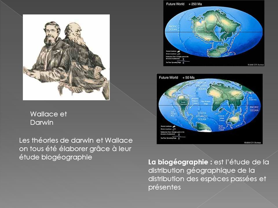 Wallace et Darwin Les théories de darwin et Wallace on tous été élaborer grâce à leur étude biogéographie.