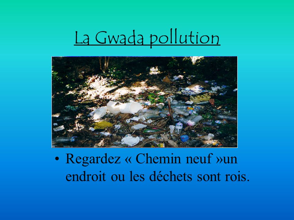 La Gwada pollution Regardez « Chemin neuf »un endroit ou les déchets sont rois.