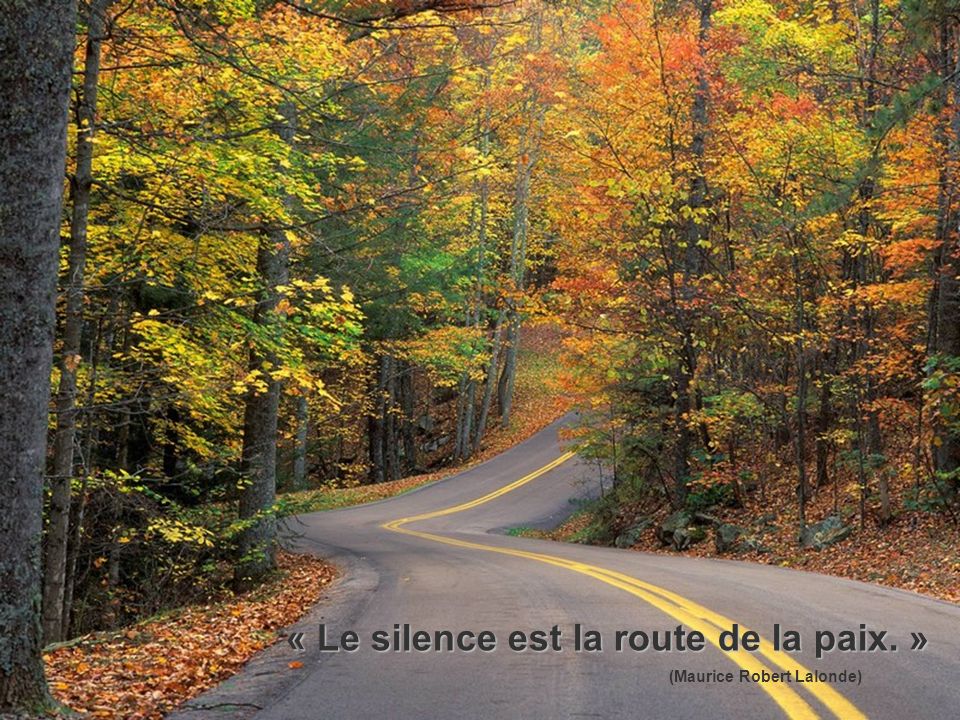 « Le silence est la route de la paix. »