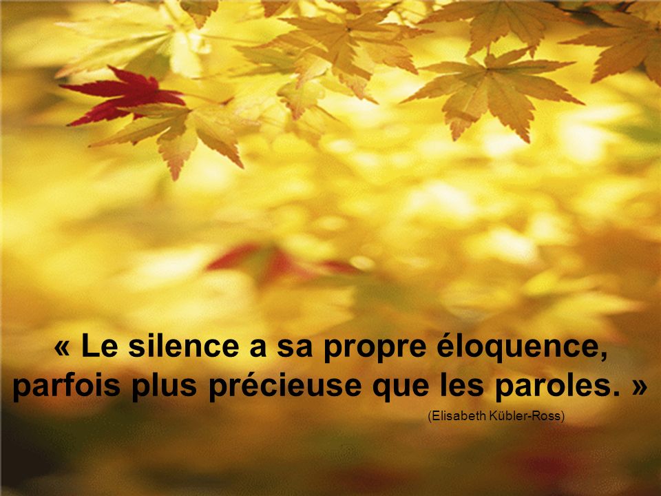 « Le silence a sa propre éloquence, parfois plus précieuse que les paroles. » (Elisabeth Kübler-Ross)