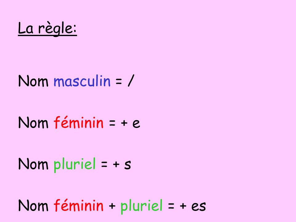 La règle: Nom masculin = / Nom féminin = + e Nom pluriel = + s Nom féminin + pluriel = + es