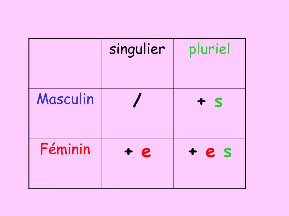 singulier pluriel Masculin / + s Féminin + e + e s