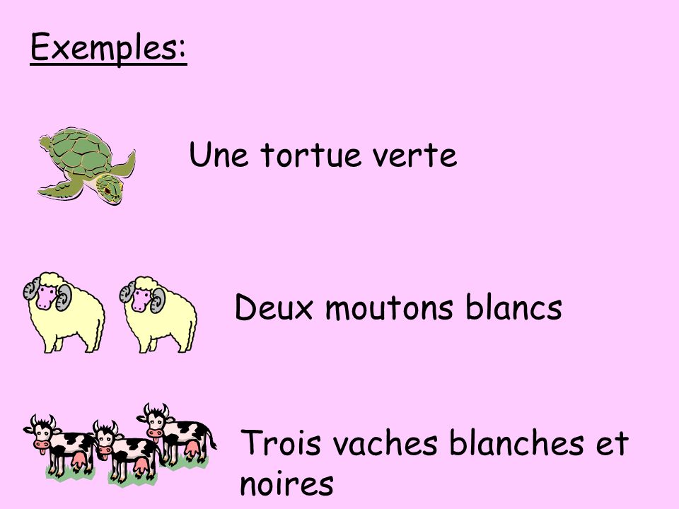 Exemples: Une tortue verte Deux moutons blancs Trois vaches blanches et noires
