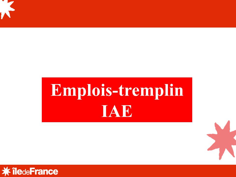 Emplois-tremplin IAE