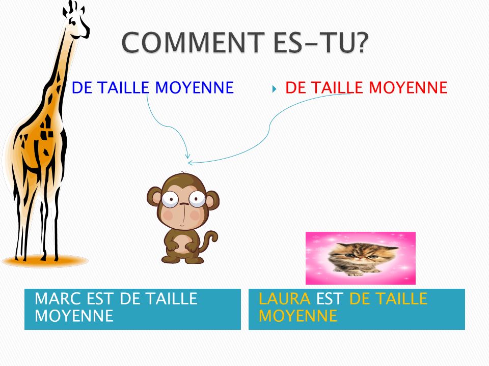 COMMENT ES-TU DE TAILLE MOYENNE DE TAILLE MOYENNE