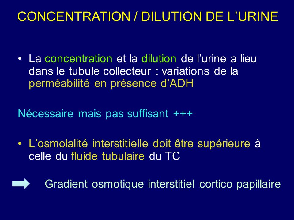 CONCENTRATION / DILUTION DE L’URINE