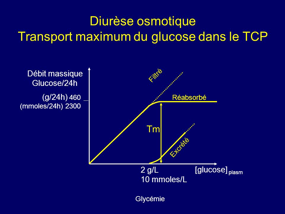 Diurèse osmotique Transport maximum du glucose dans le TCP