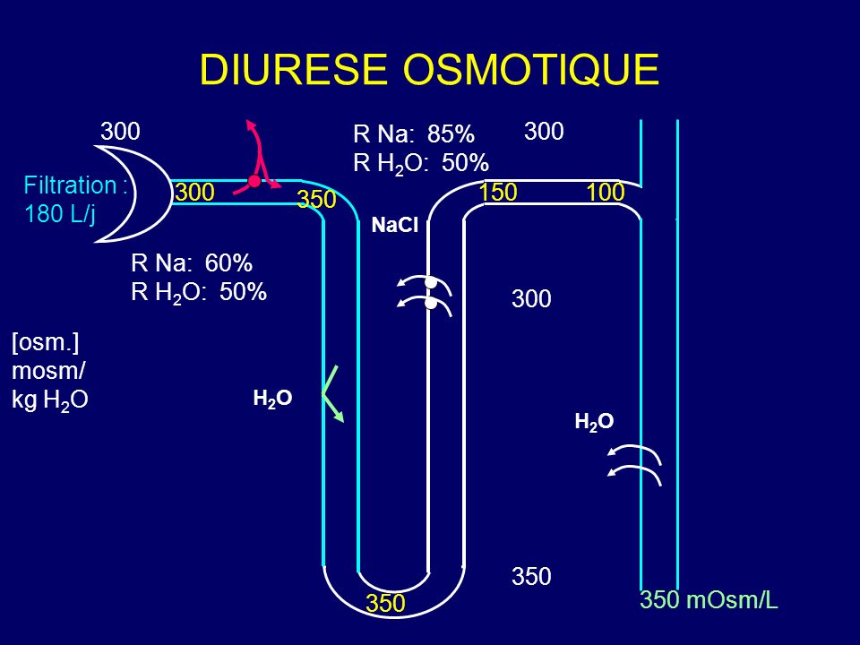 DIURESE OSMOTIQUE 300 R Na: 85% R H2O: 50% 300 Filtration : 180 L/j