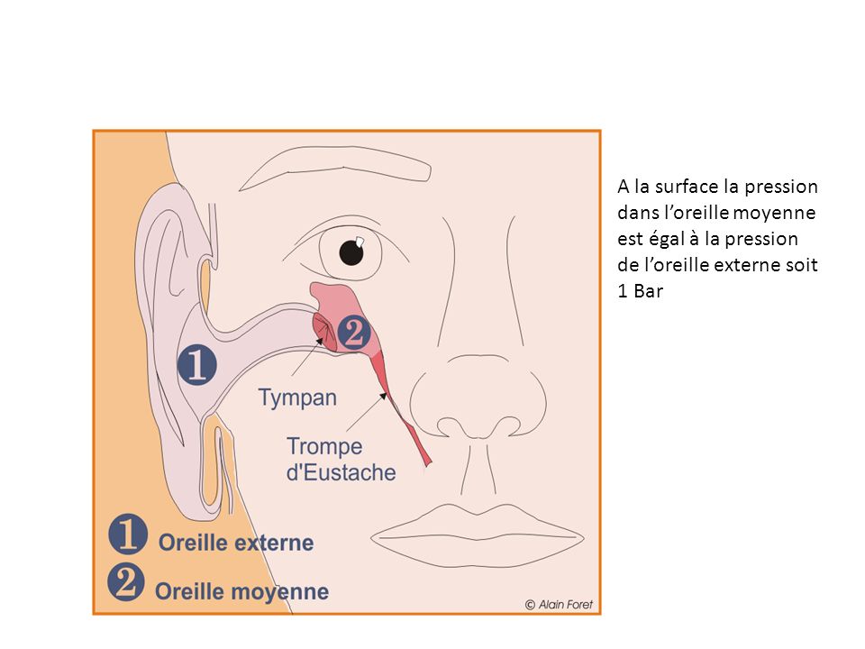 A la surface la pression dans l’oreille moyenne est égal à la pression de l’oreille externe soit 1 Bar
