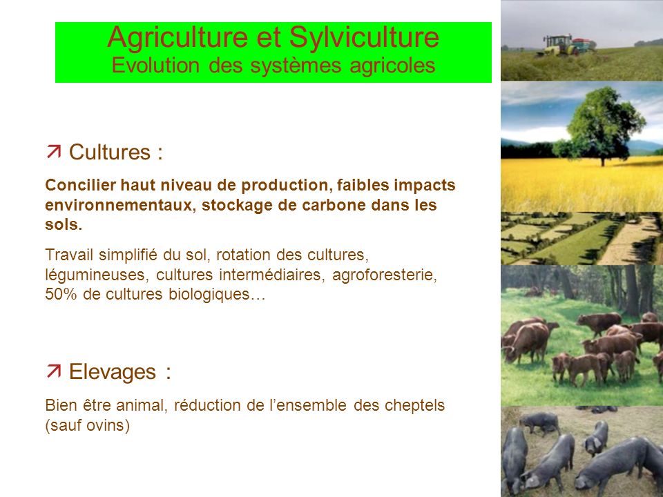 Agriculture et Sylviculture Evolution des systèmes agricoles