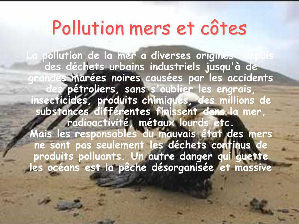 Pollution mers et côtes