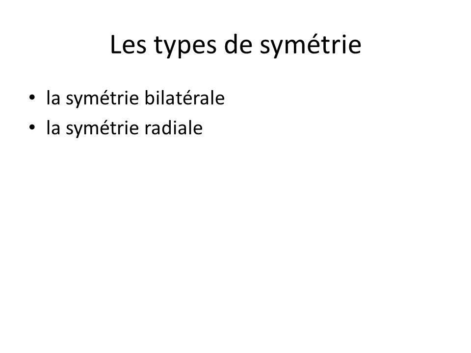 Les types de symétrie la symétrie bilatérale la symétrie radiale