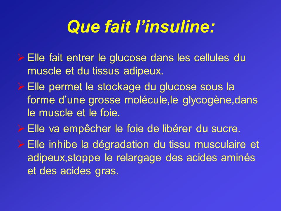 Que fait l’insuline: Elle fait entrer le glucose dans les cellules du muscle et du tissus adipeux.