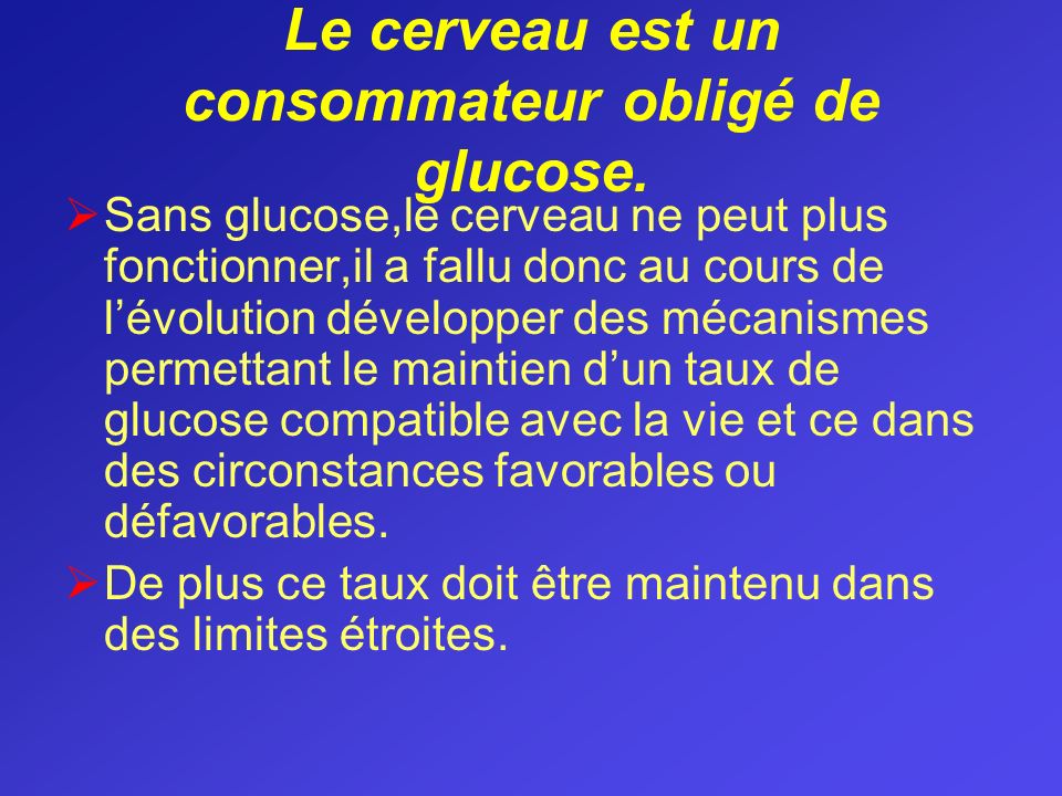 Le cerveau est un consommateur obligé de glucose.