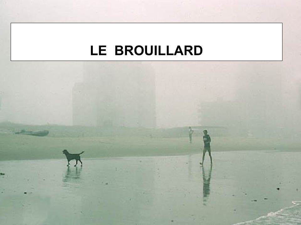 LE BROUILLARD